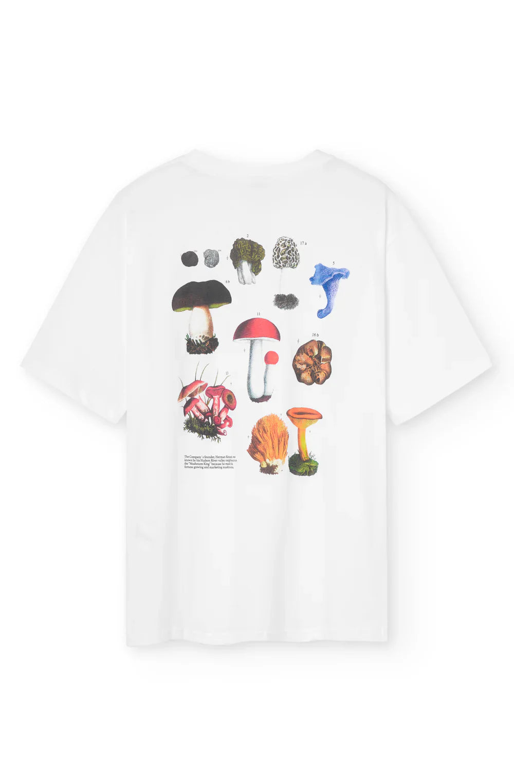 T-SHIRT FUNGHI