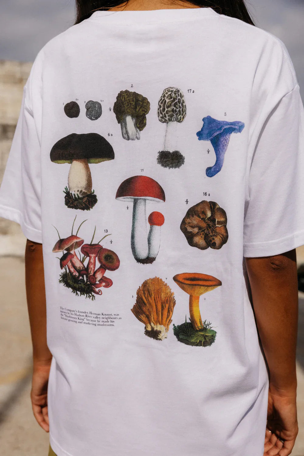 T-SHIRT FUNGHI
