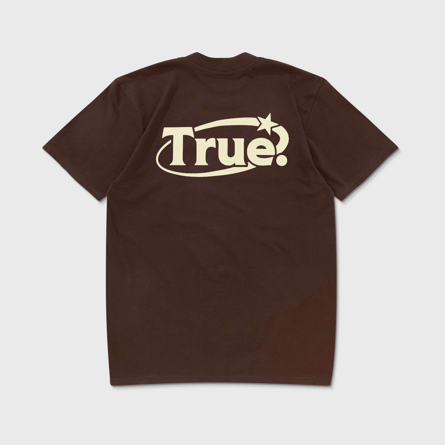 EVERYDAY LOGO T-SHIRT BROWN - FRONT OF.