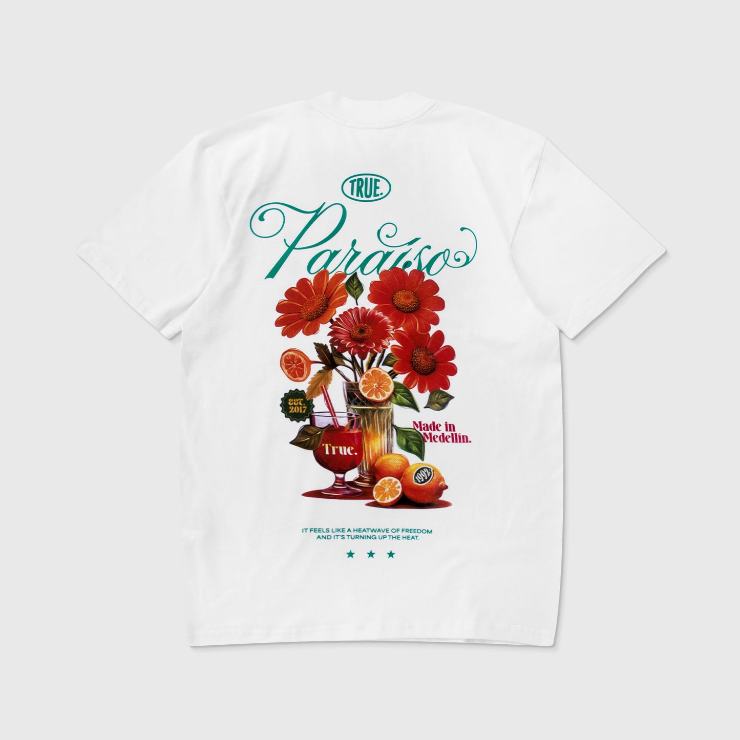PARAISO REGULAR T-SHIRT WHITE - FRONT OF