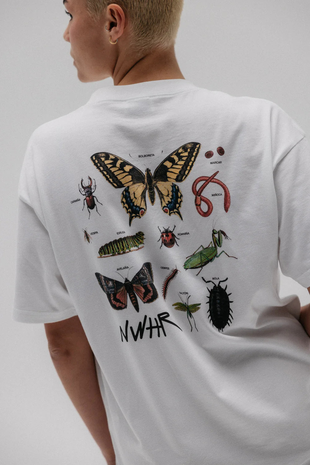 T-SHIRT INSECTOS