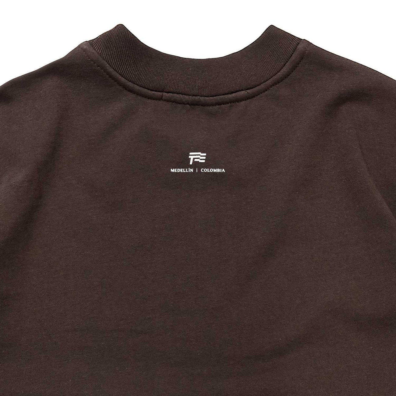 CLASSIC T-SHIRT BROWN - FRONT OF