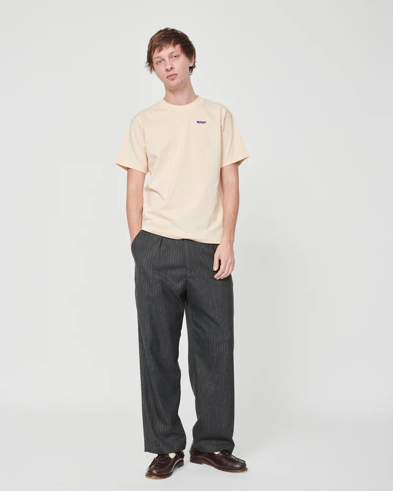 PAINTER WANF T-SHIRT CREAM - FRONT OF